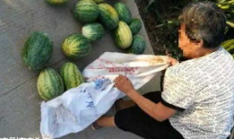 滨州吃瓜最新事件爆料,揭秘背后惊人真相！